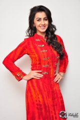 Nikki Galrani at Krishnashtami Movie Promotions